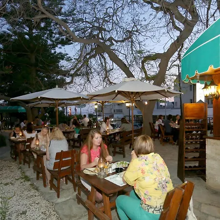Dionysos Paphos