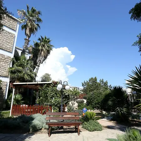 Dionysos Paphos